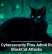 U.S. Cybersecurity Pros Admit Role in BlackCat Attacks